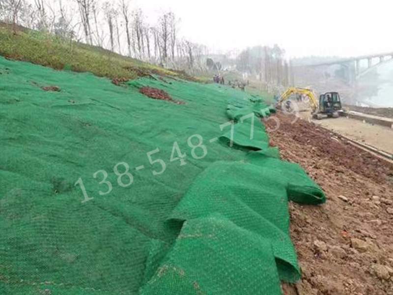 三维植被网施工(图1)