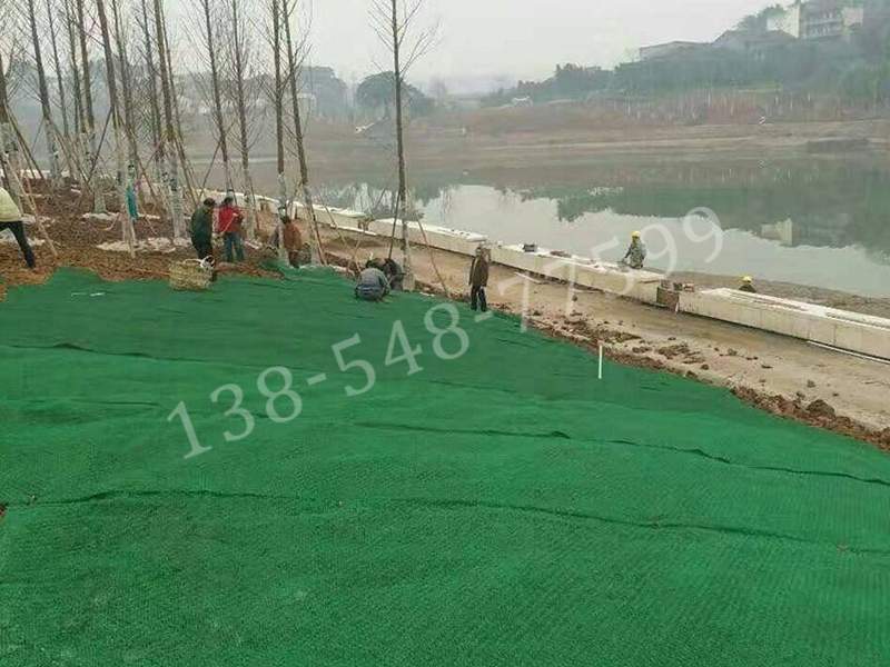 三维植被网施工(图1) 三维植被网施工(图1)