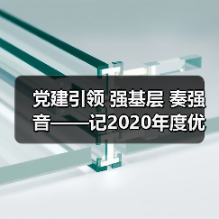 党建引领 强基层 奏强音——记2020年度优秀基层党支部 党建引领 强基层 奏强音——记2020年度优秀基层党支部