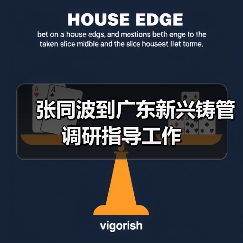 张同波到广东新兴铸管调研指导工作