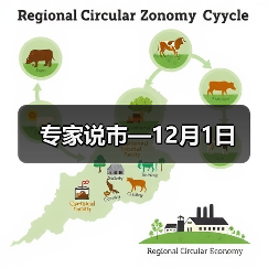 专家说市—12月1日（图2）
