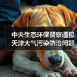 中央生态环保督察通报天津大气污染防治问题(图1) 中央生态环保督察通报天津大气污染防治问题(图1)