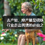 去产能、控产量是钢铁行业走出困境的必由之路（图1）