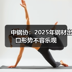 中钢协：2025年钢材出口形势不容乐观（图1）