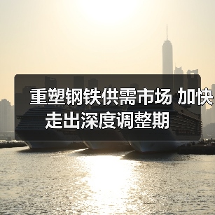 重塑钢铁供需市场 加快走出深度调整期(图4) 重塑钢铁供需市场 加快走出深度调整期(图4)