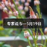 专家说市—5月19日(图4) 专家说市—5月19日(图4)