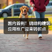 国内首例!钢结构建筑应用推广迎来转折点(图2) 国内首例!钢结构建筑应用推广迎来转折点(图2)