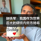 骆铁军:我国作为世界最大的钢铁内需市场将长期存在(图4) 骆铁军:我国作为世界最大的钢铁内需市场将长期存在(图4)