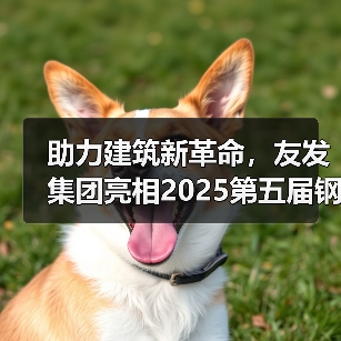 助力建筑新革命,友发集团亮相2025第五届钢结构及建筑材料供需大会引关注(图4) 助力建筑新革命,友发集团亮相2025第五届钢结构及建筑材料供需大会引关注(图4)
