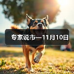 专家说市—11月10日(图3) 专家说市—11月10日(图3)