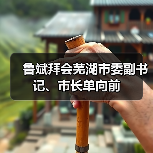 鲁斌拜会芜湖市委副书记、市长单向前（图2）