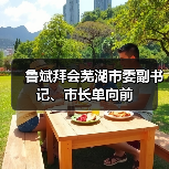 鲁斌拜会芜湖市委副书记、市长单向前（图1）