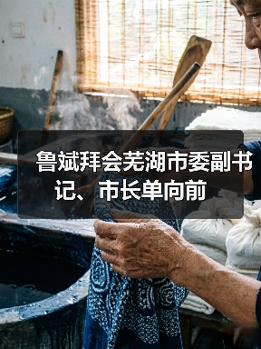 鲁斌拜会芜湖市委副书记、市长单向前（图3）