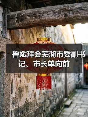 鲁斌拜会芜湖市委副书记、市长单向前（图4）
