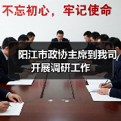 阳江市政协主席到我司开展调研工作（图4）