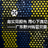 务实见担当 用心下真功——广东新兴铸管党委扎实开展党史学习教育（图3）