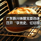 广东新兴铸管党委迅速召开“学党史、忆征程、看得失、强信心、创伟业”专题活动部署会(图4) 广东新兴铸管党委迅速召开“学党史、忆征程、看得失、强信心、创伟业”专题活动部署会(图4)