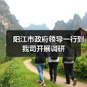 阳江市政府领导一行到我司开展调研（图1）