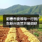 阳春市委领导一行到广东新兴铸管开展调研（图2）
