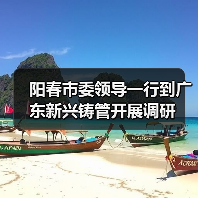 阳春市委领导一行到广东新兴铸管开展调研（图4）