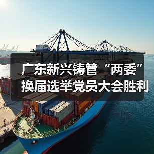 广东新兴铸管“两委”换届选举党员大会胜利召开！（图3）
