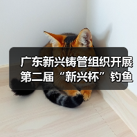 广东新兴铸管组织开展第二届“新兴杯”钓鱼比赛（图1）