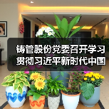 铸管股份党委召开学习贯彻习近平新时代中国特色社会主义思想主题教育动员部署会议（图3）