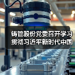 铸管股份党委召开学习贯彻习近平新时代中国特色社会主义思想主题教育动员部署会议（图4）