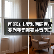 团阳江市委和团阳春市委到我司调研共青团工作（图4）