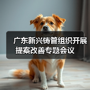 广东新兴铸管组织开展提案改善专题会议（图4）
