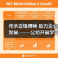 传承雷锋精神 助力企业发展-——公司开展学雷锋志愿服务系列活动（图1）