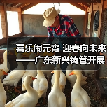 喜乐闹元宵 迎春向未来——广东新兴铸管开展元宵活动精彩纷呈(图2) 喜乐闹元宵 迎春向未来——广东新兴铸管开展元宵活动精彩纷呈(图2)