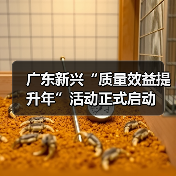 广东新兴“质量效益提升年”活动正式启动（图2）