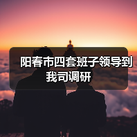 阳春市四套班子领导到我司调研(图1) 阳春市四套班子领导到我司调研(图1)