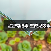 监督有结果 整改见效果（图4）