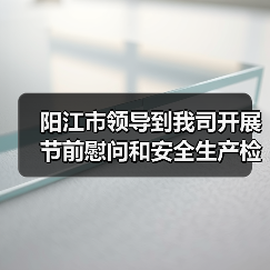 阳江市领导到我司开展节前慰问和安全生产检查工作（图4）