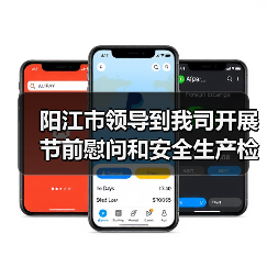 阳江市领导到我司开展节前慰问和安全生产检查工作（图1）