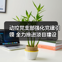 动控党支部强化党建引领 全力推进项目建设（图4）