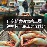 广东新兴铸管第二届“迎新杯”职工乒乓球比赛圆满举行！（图2）