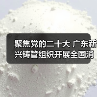 聚焦党的二十大 广东新兴铸管组织开展全国消防日系列活动（图1）
