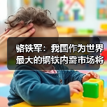 骆铁军：我国作为世界最大的钢铁内需市场将长期存在（图3）