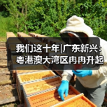 我们这十年|广东新兴：粤港澳大湾区冉冉升起的科创新星（图1）