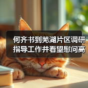 何齐书到芜湖片区调研指导工作并看望慰问高温一线职工（图2）