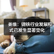 姜维:钢铁行业发展模式已发生显著变化(图1) 姜维:钢铁行业发展模式已发生显著变化(图1)