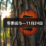 专家说市—11月24日(图2) 专家说市—11月24日(图2)