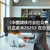 《中国钢铁行业社会责任蓝皮书2025》在京发布(图4) 《中国钢铁行业社会责任蓝皮书2025》在京发布(图4)