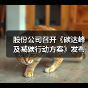 股份公司召开《碳达峰及减碳行动方案》发布会(图3) 股份公司召开《碳达峰及减碳行动方案》发布会(图3)