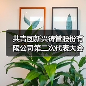 共青团新兴铸管股份有限公司第二次代表大会胜利召开（图3）