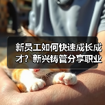 新员工如何快速成长成才？新兴铸管分享职业发展路径（图3）