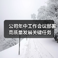 公司年中工作会议部署高质量发展关键任务（图2）